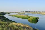 Окрестности кишлака Янги-Хаят, image of landscape/habitat.