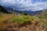 Image of landscape