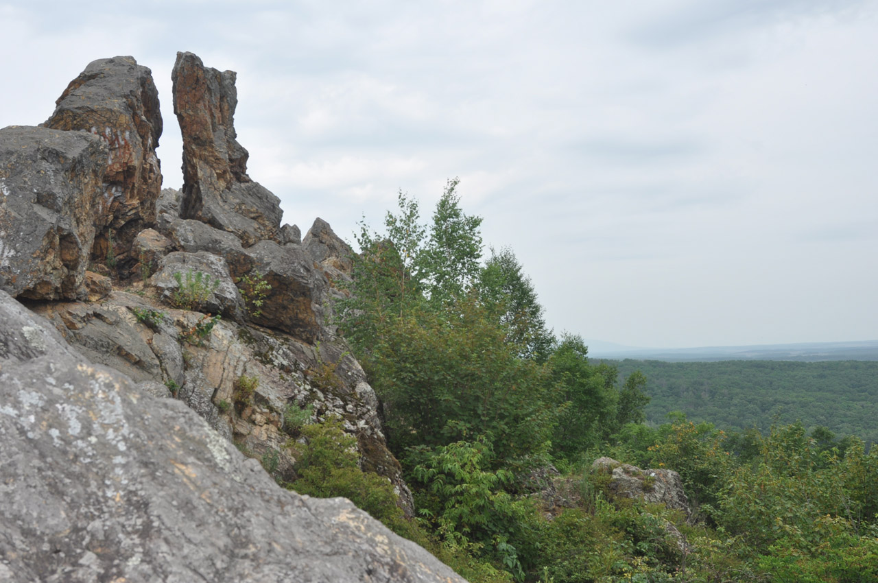 Сопка Двух Братьев, image of landscape/habitat.