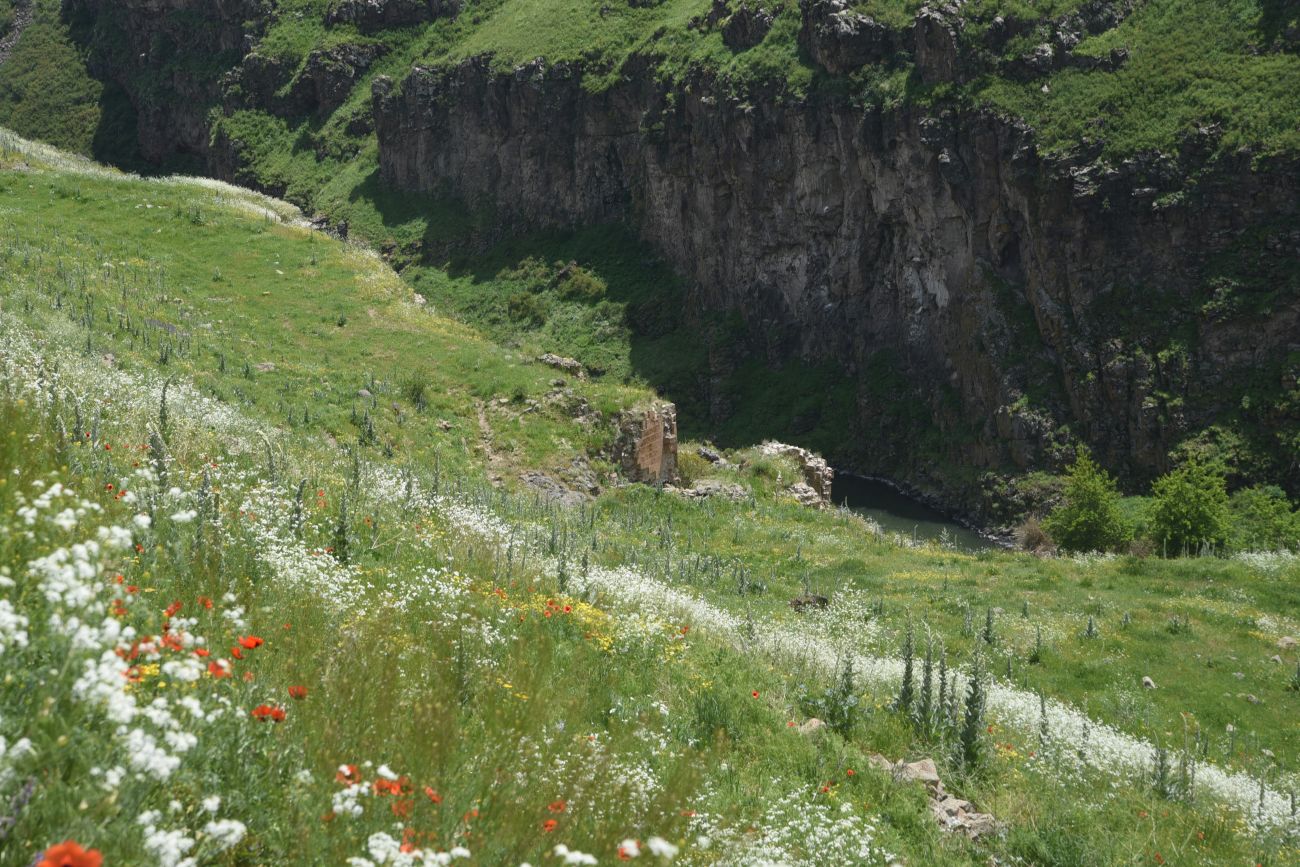 Окрестности бывшего города Ани, изображение ландшафта.