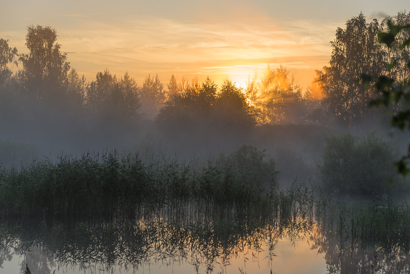 Большое Каринское Болото, image of landscape/habitat.