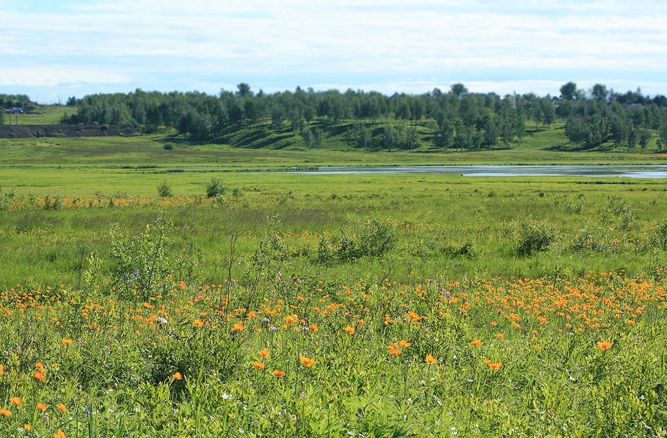 Магдагачи, image of landscape/habitat.