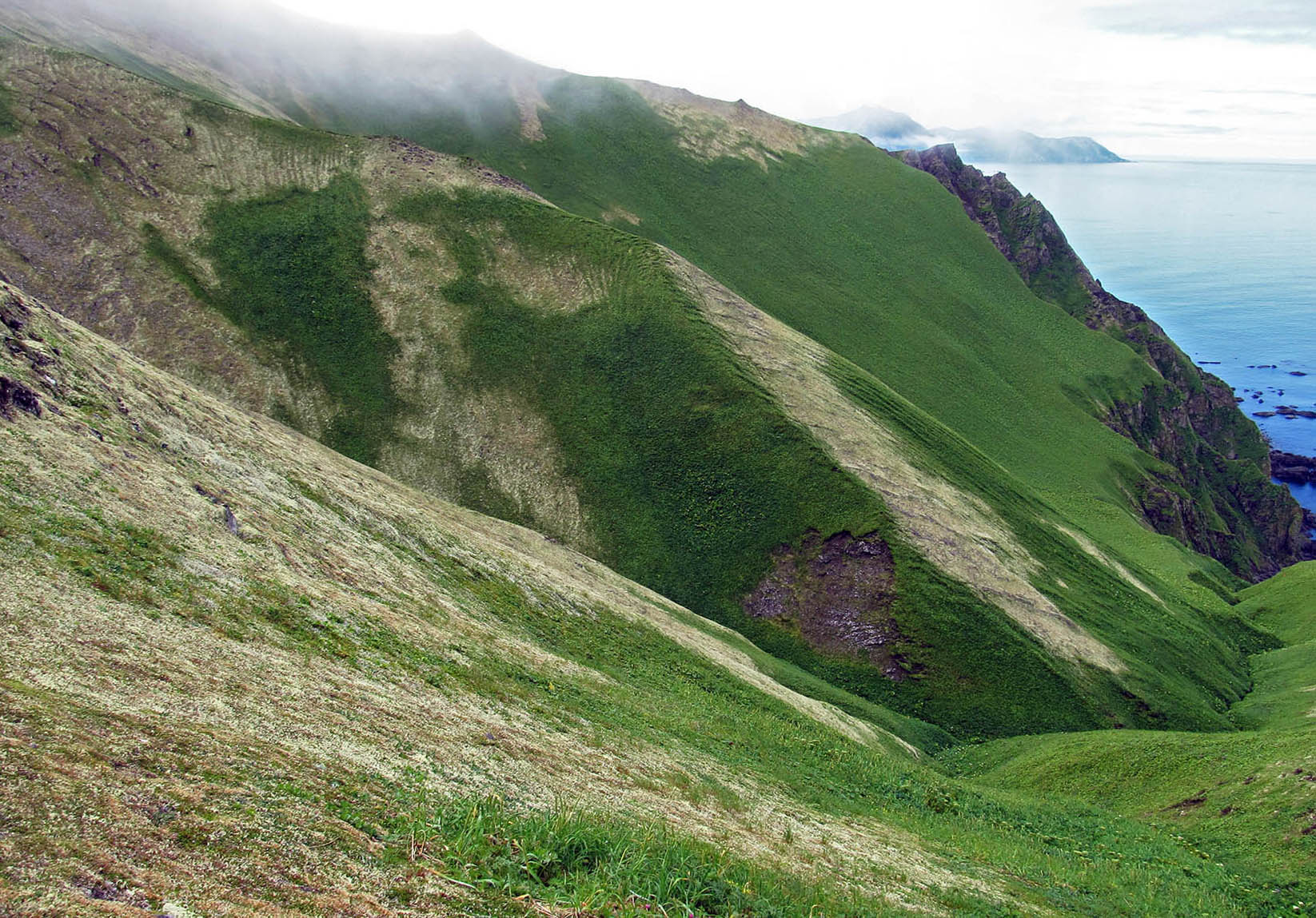 Остров Медный, image of landscape/habitat.