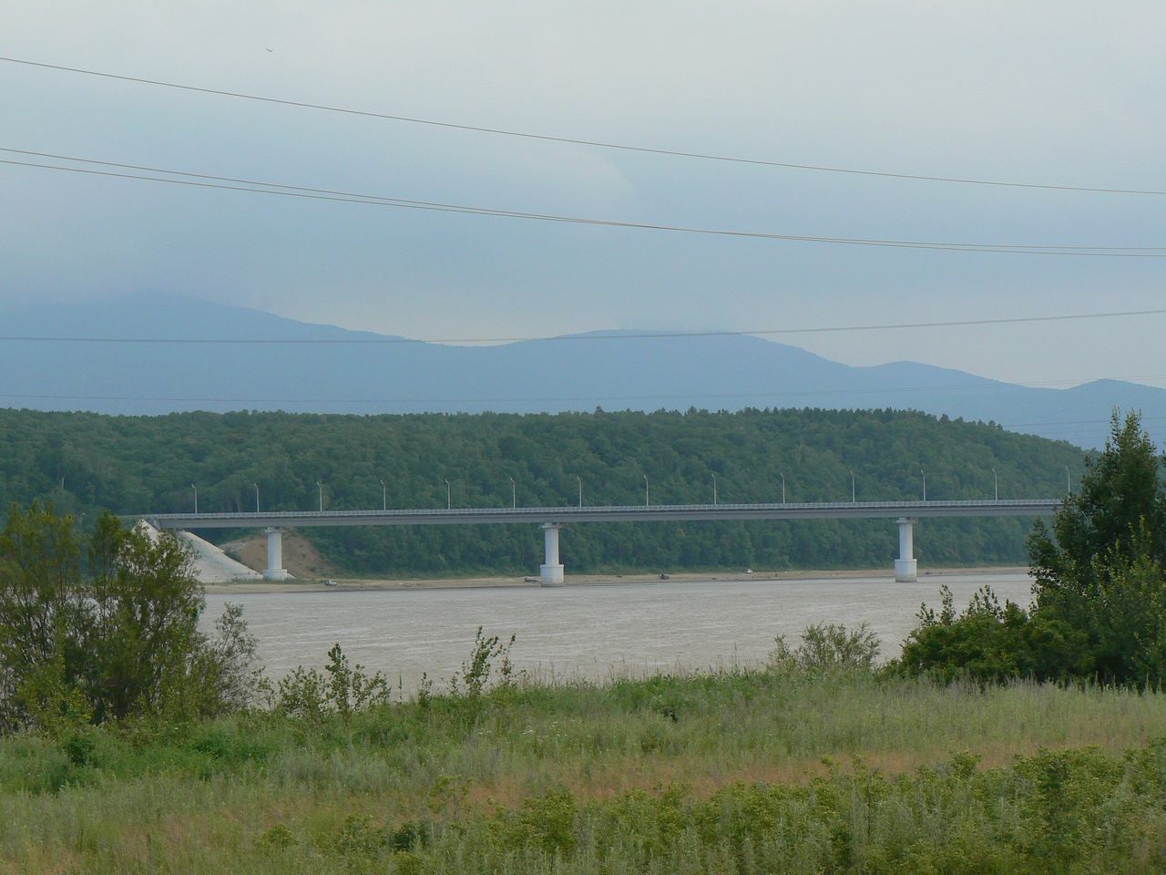 Большой Уссурийский остров, image of landscape/habitat.