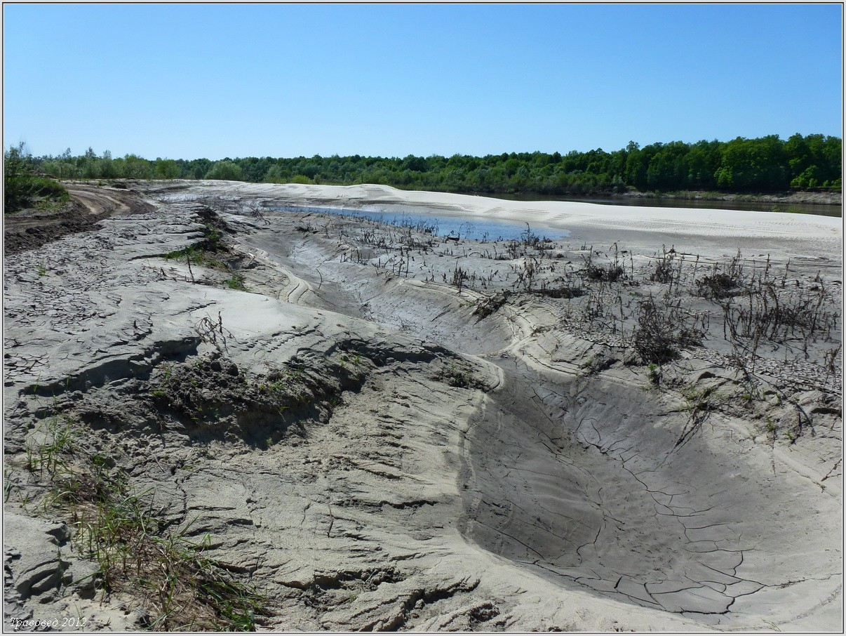 Шумерлинский пляж, image of landscape/habitat.