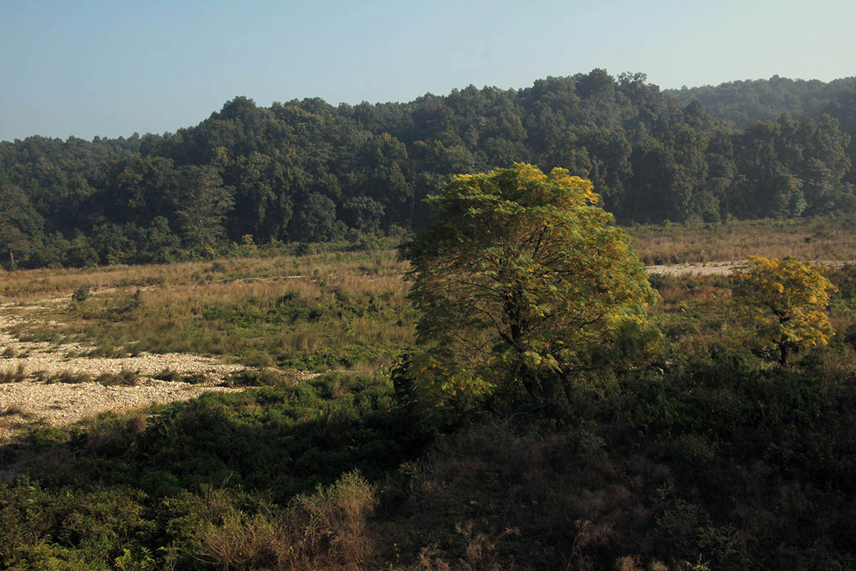 Национальный парк "Раджеджи", изображение ландшафта.