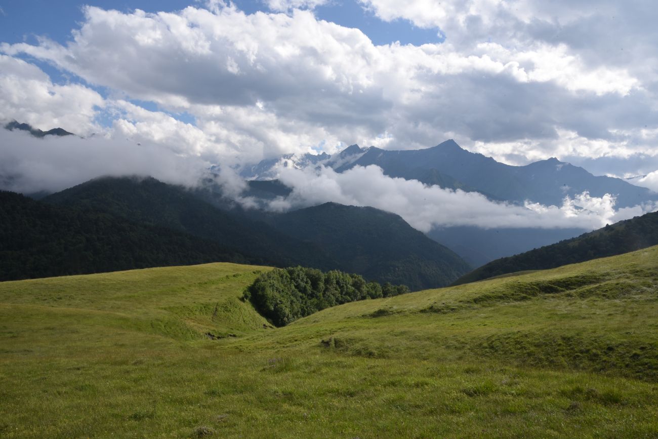 Альплагерь "Кязи" и окрестности, image of landscape/habitat.