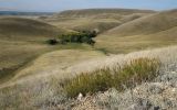 Image of landscape