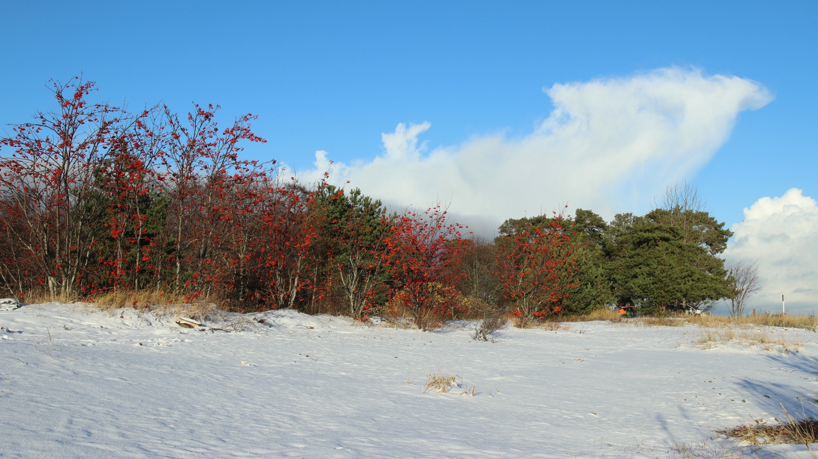 Каравалдай, image of landscape/habitat.