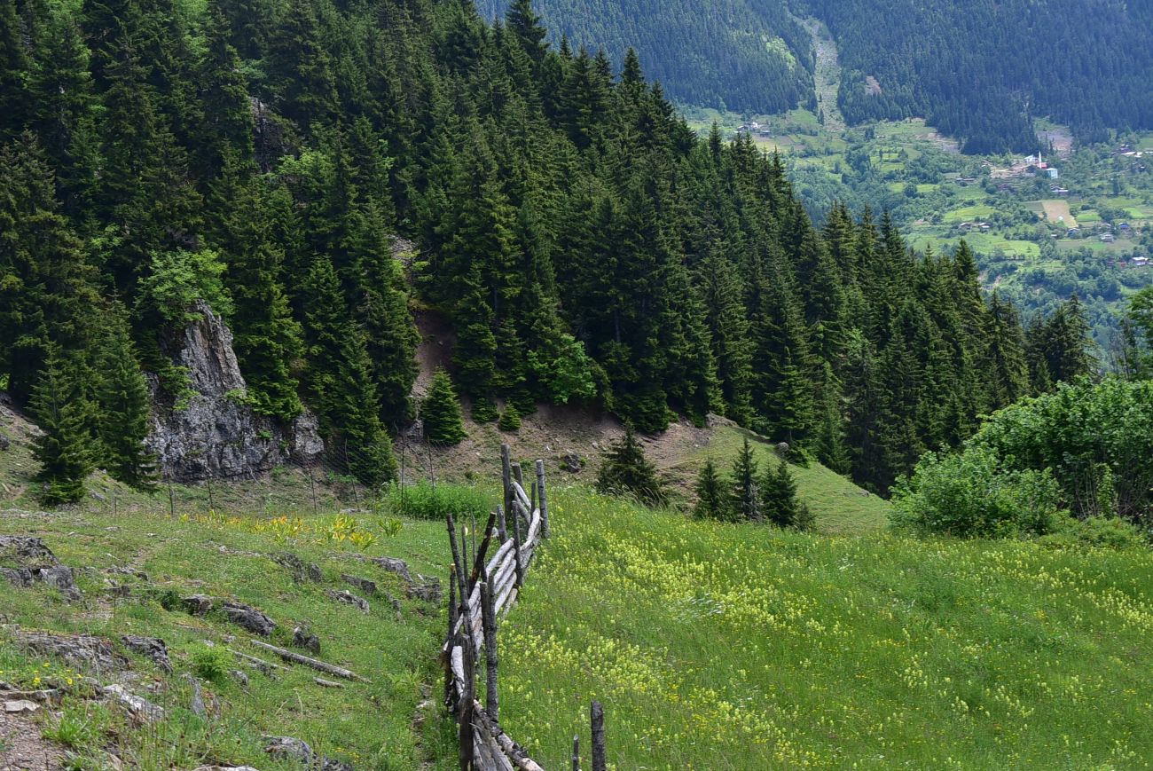 Окрестности монастыря Парехи, image of landscape/habitat.