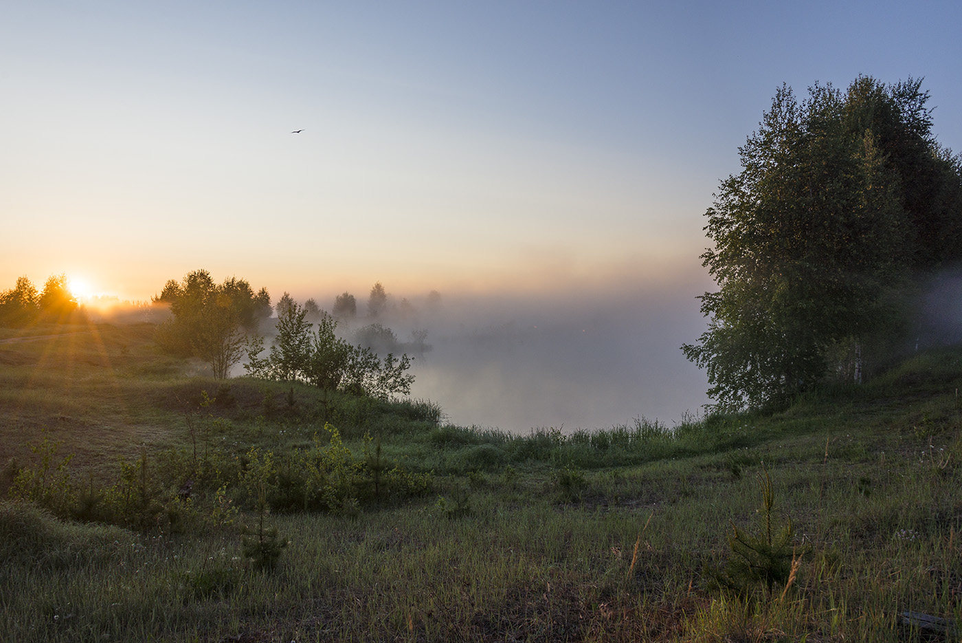 Большое Каринское Болото, image of landscape/habitat.