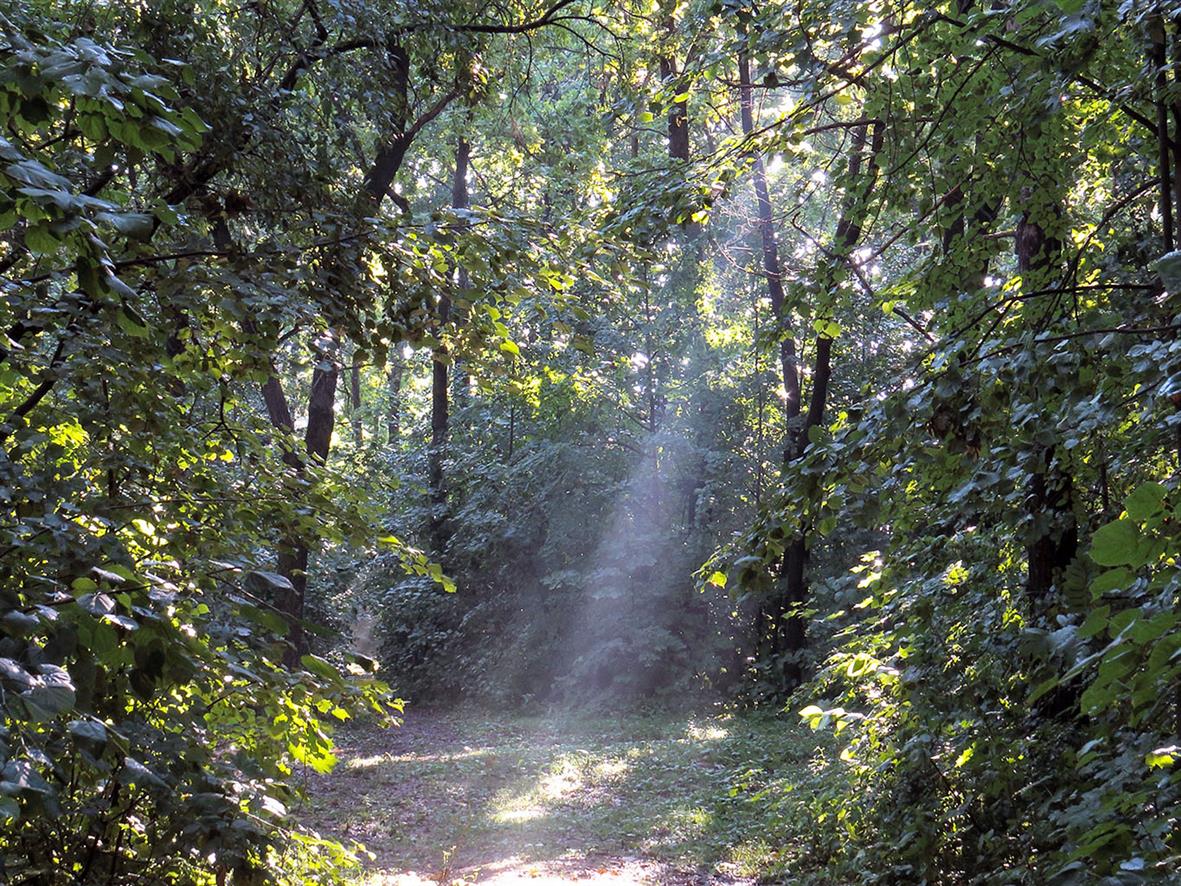 Верхняя Терраса и окрестности, image of landscape/habitat.