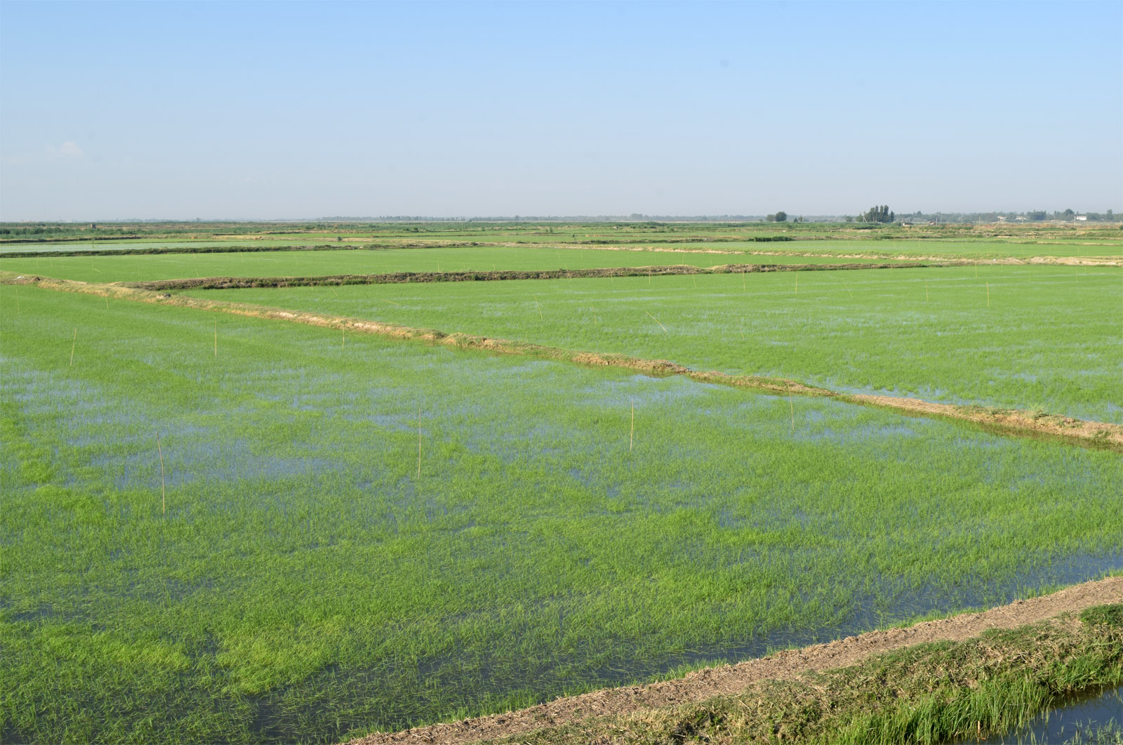 Окрестности кишлака Янги-Хаят, image of landscape/habitat.