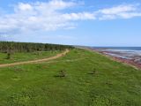 Image of landscape