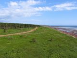 Аметистовый берег, image of landscape/habitat.