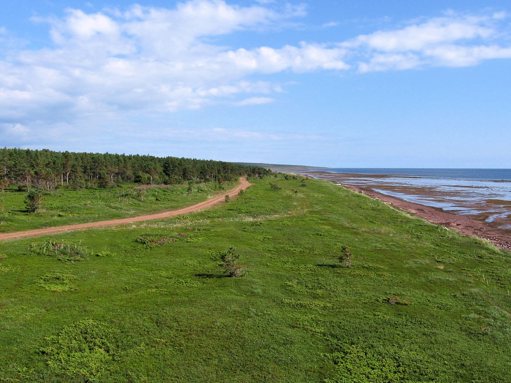 Аметистовый берег, изображение ландшафта.