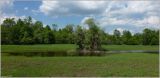 Image of landscape