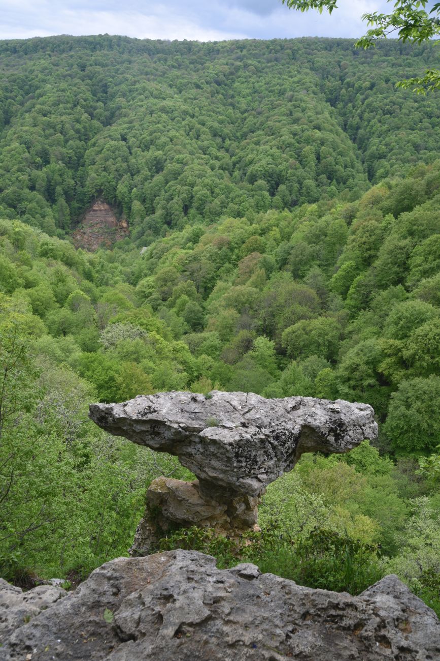 Скала Молоток, image of landscape/habitat.