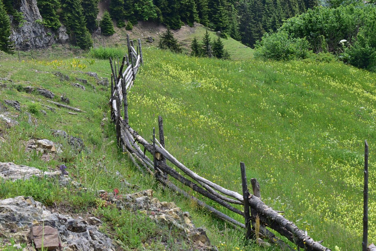 Окрестности монастыря Парехи, image of landscape/habitat.