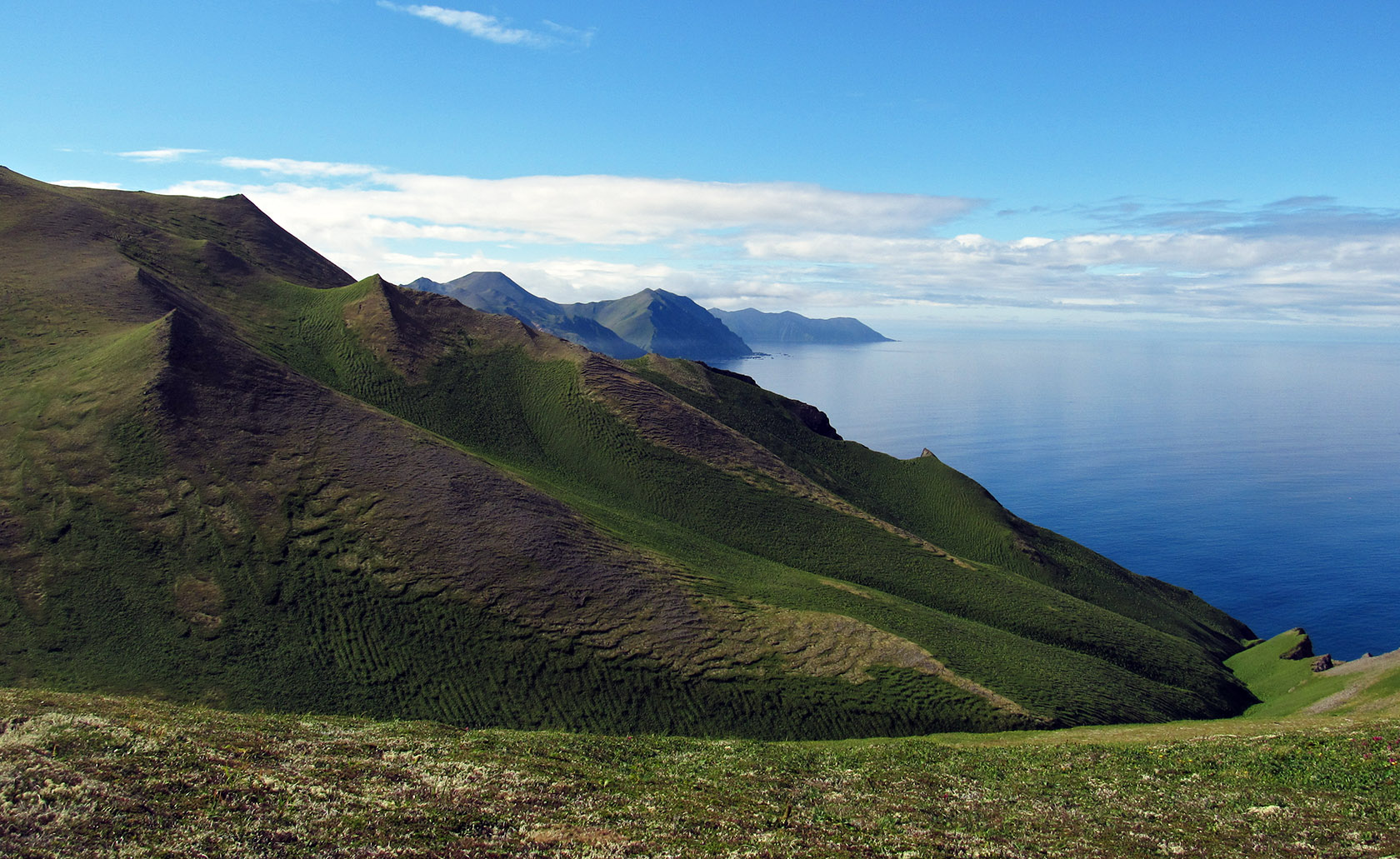 Остров Медный, image of landscape/habitat.