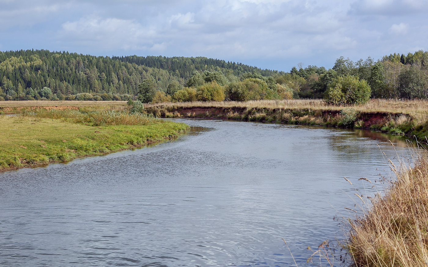 Галешник, image of landscape/habitat.