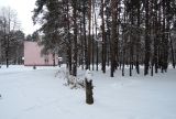 Изображение ландшафта