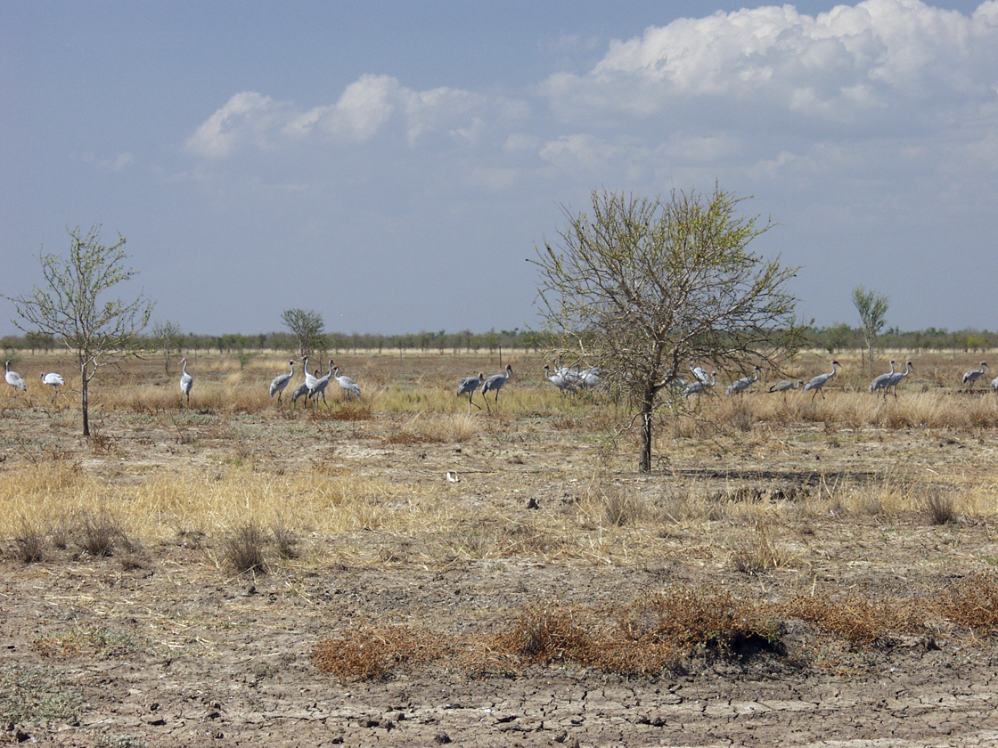 Karumba и окрестности, image of landscape/habitat.