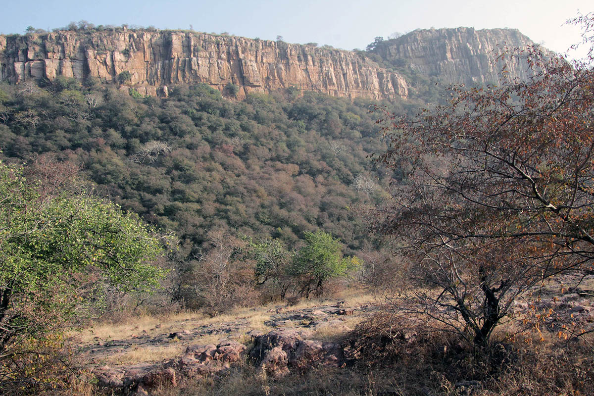 Национальный парк "Рантамбор", image of landscape/habitat.