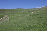Image of landscape