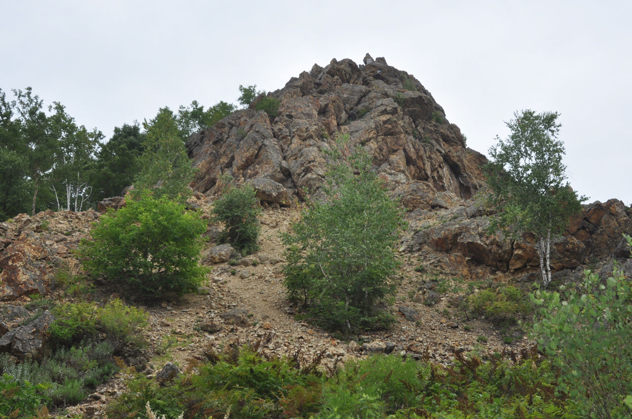 Сопка Двух Братьев, image of landscape/habitat.