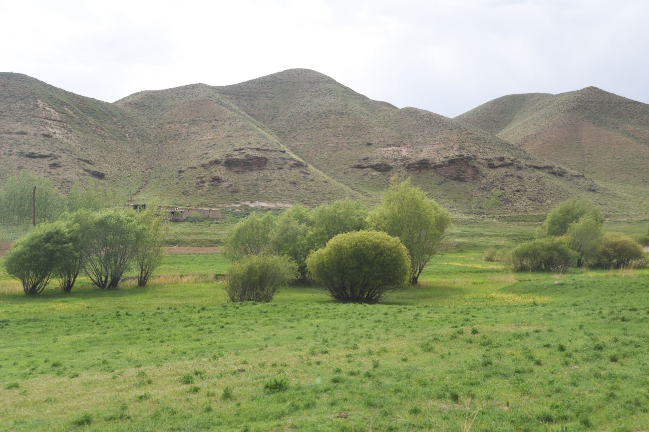 1 км от Ванадокии, image of landscape/habitat.