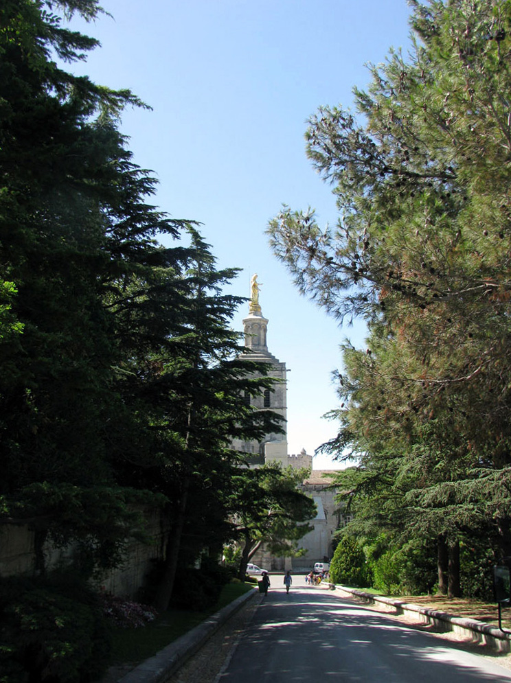 Авиньон, image of landscape/habitat.
