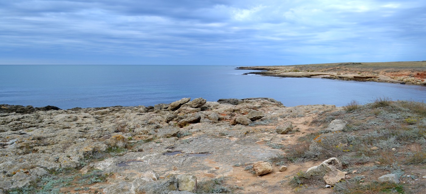 Тарханкут, image of landscape/habitat.