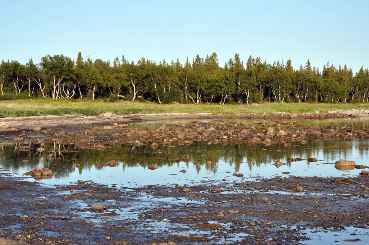 Большой Соловецкий остров, image of landscape/habitat.