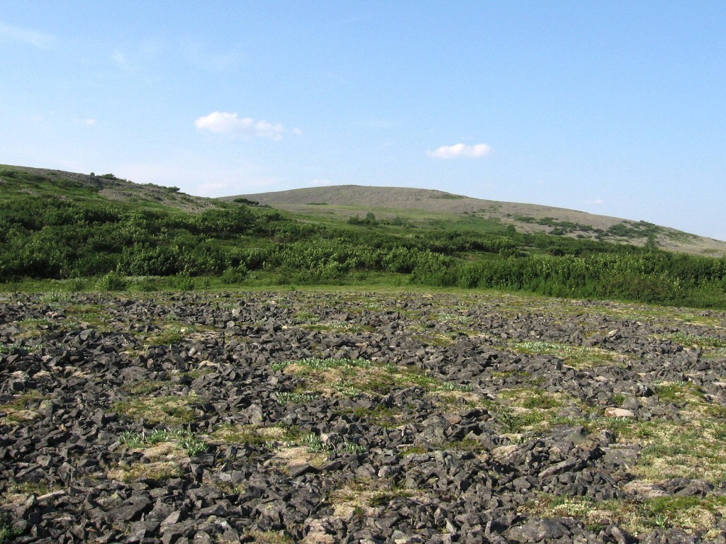 Большая Лагорта, image of landscape/habitat.