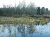Image of landscape