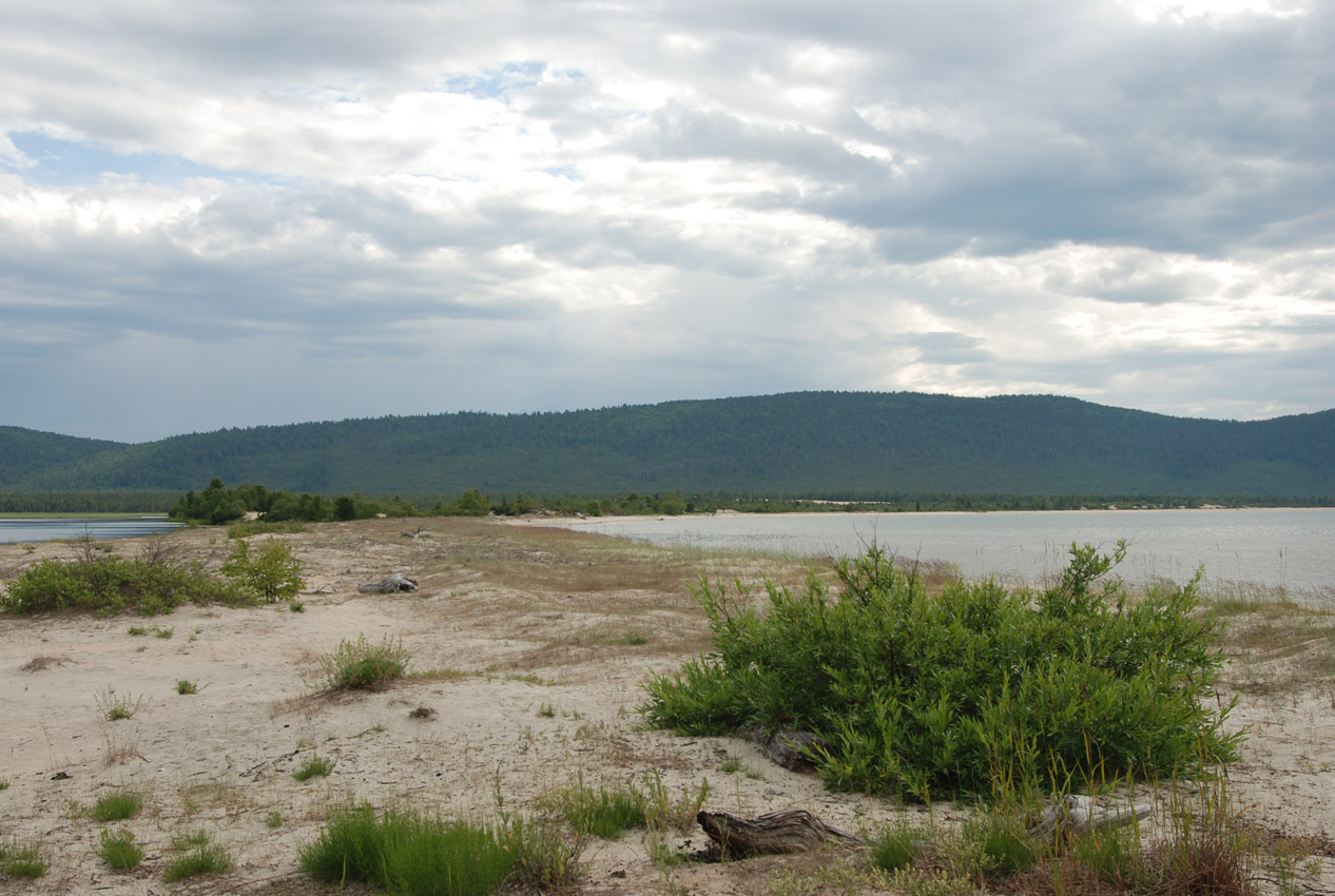 Чивыркуй, image of landscape/habitat.