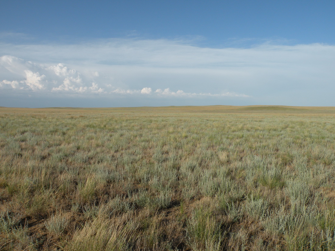 Карашатау, image of landscape/habitat.