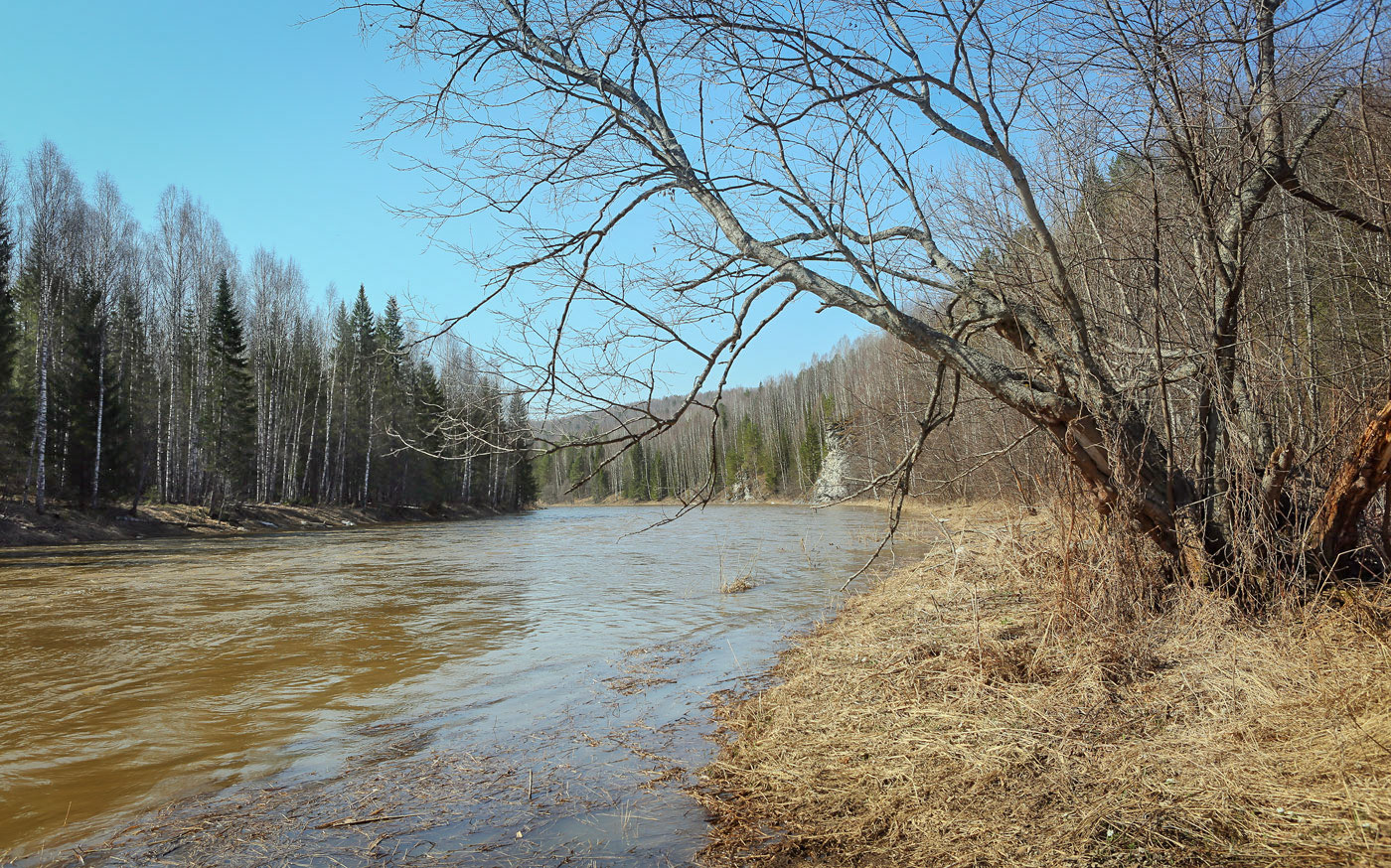 Камень Ростун и его окрестности, image of landscape/habitat.