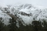 Image of landscape