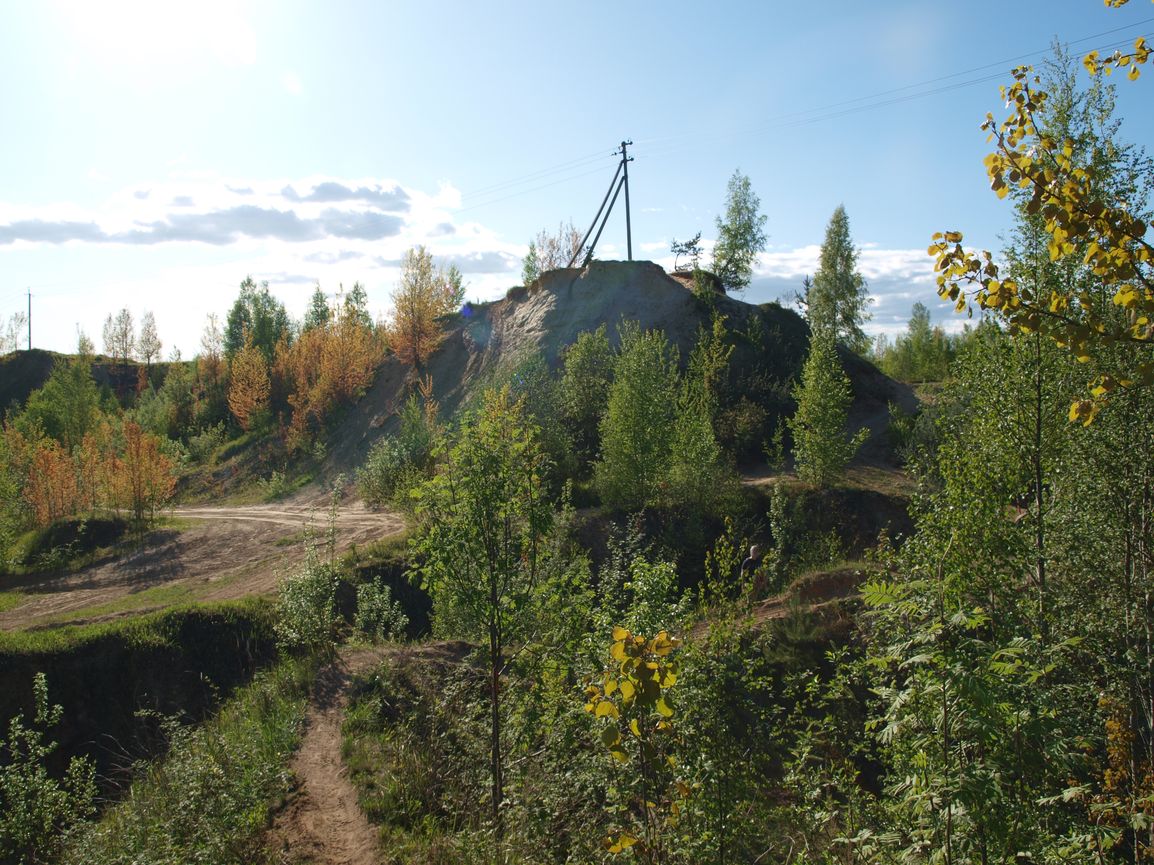 Песчаные карьеры у Разметелево, image of landscape/habitat.