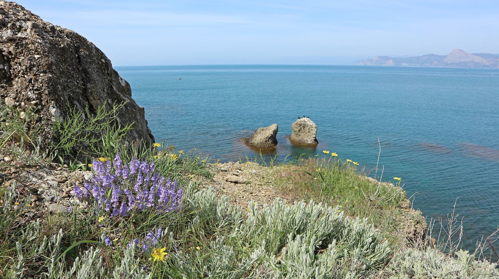 Меганом, image of landscape/habitat.