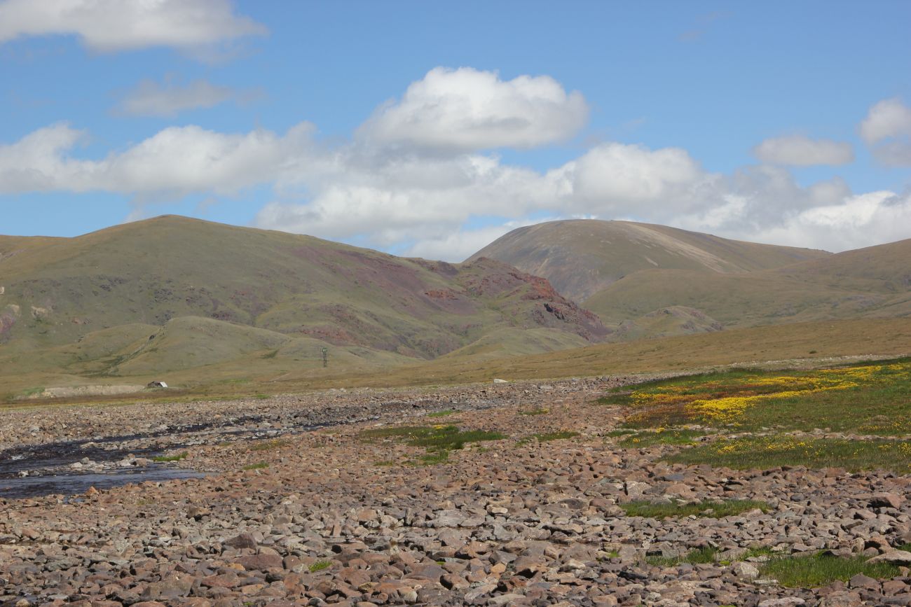 Окрестности стоянки Аргамджи, image of landscape/habitat.
