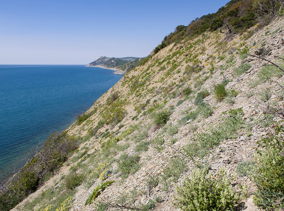 Большой Утриш, гора Солдатская, image of landscape/habitat.