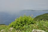 Image of landscape