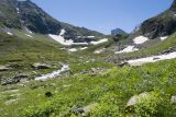 Верхняя стоянка Имеретин. тропы, image of landscape/habitat.