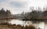 Парк "Зверинец", image of landscape/habitat.