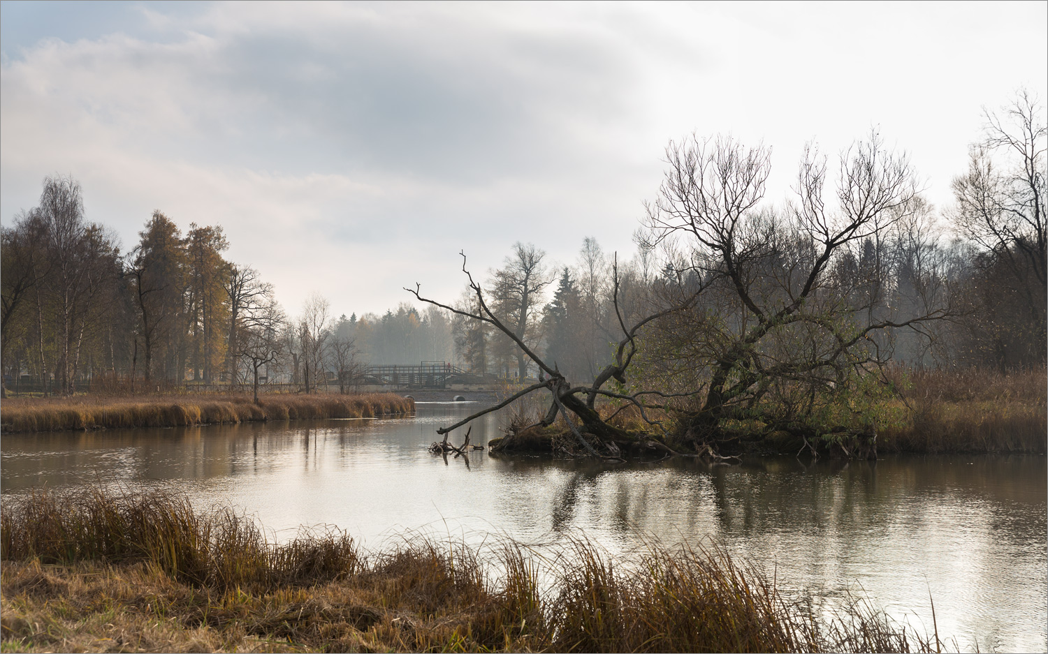 Парк "Зверинец", image of landscape/habitat.