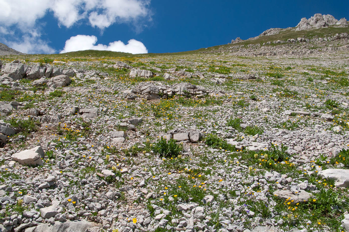 Озеро Оштен-Восточное, image of landscape/habitat.