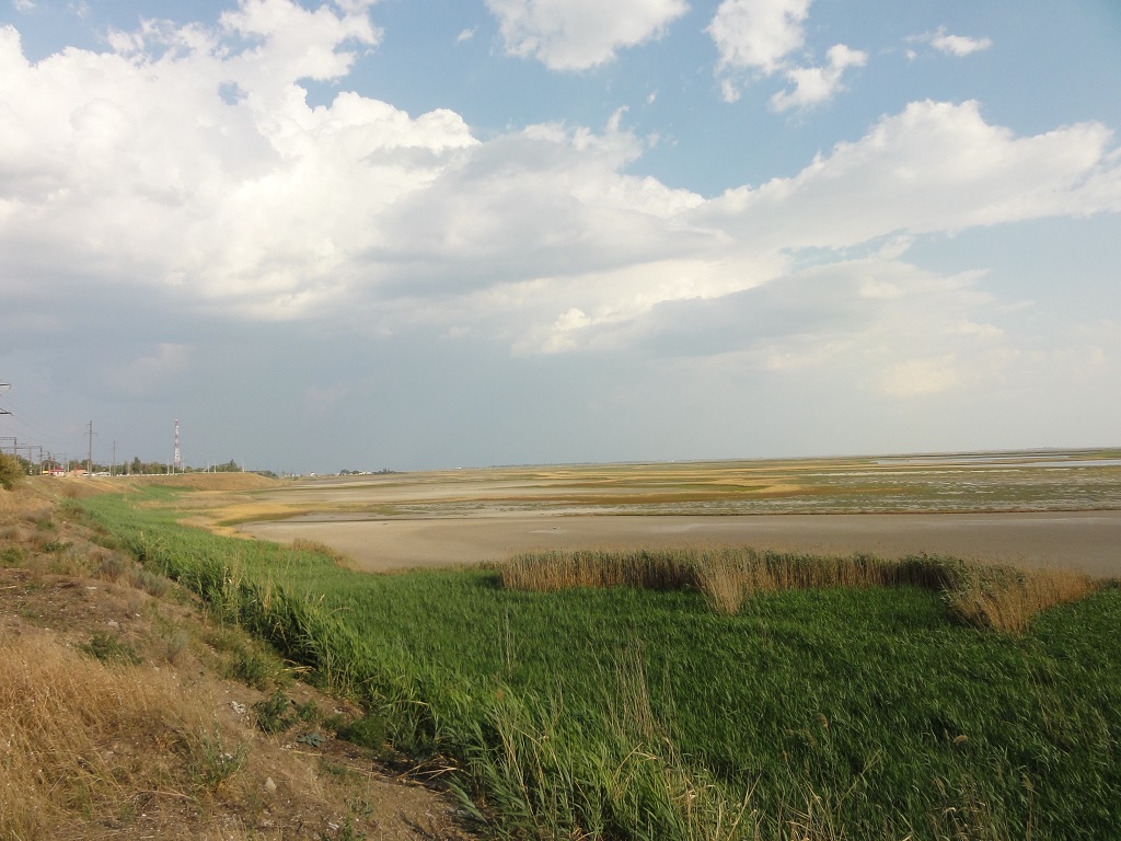 Берег озера Сиваш, image of landscape/habitat.